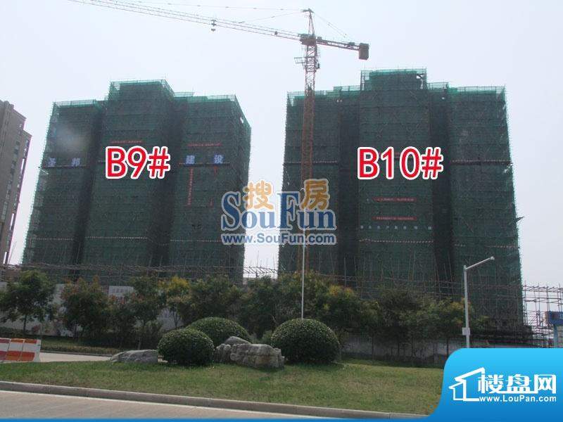 坤泰御景湾B9、B10#实景图(2012-09-21)