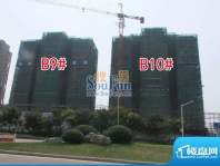 坤泰御景湾B9、B10#实景图(2012-09-21)