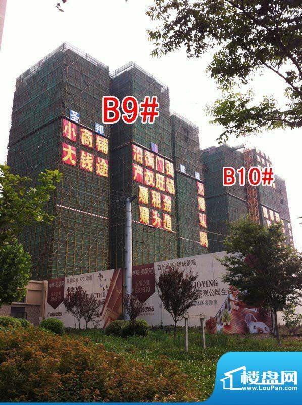 坤泰御景湾B9、B10#实景图(2012-06-26)