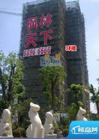 枫林天下工地实景图（2012-07-28）