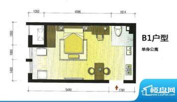 LOFT阳光公寓B1单身面积:41.00m平米