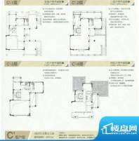 金岸水城C’户型图 面积:499.10m平米