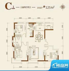 益田枫露C1户型图 3面积:125.00平米