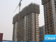 海信慧园东区2号楼施工进度（2012-03-2