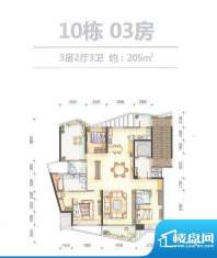 万科水晶城10栋03房面积:205.00平米