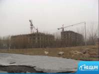 青林湖畔项目远景实景图（2011.3）