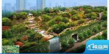 阳光100国际新城小区绿化效果图