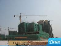 上林苑工程进度（2010.11.20）