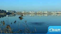 藏珑(齐鲁水郡温泉岛二期)别墅水景实景