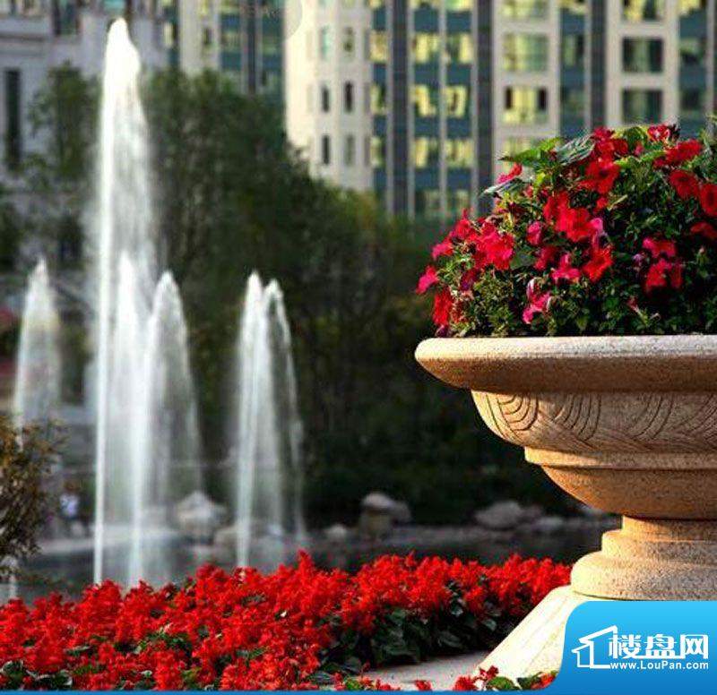恒大翡翠华庭园内花卉外景图（2011-10）