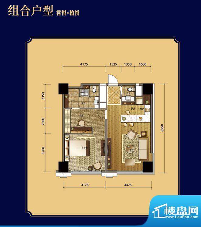 赞成美林君悦·柏悦面积:99.00m平米