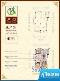 清华苑A 3室2厅1卫1面积:120.00m平米