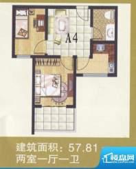 金安公寓一期标准层面积:57.81m平米