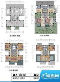 东泽博园A1-A2户型 面积:376.29m平米