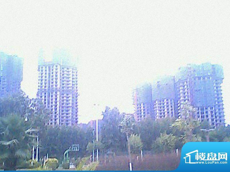 皇家滨城小区实景图（20100925）