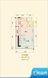 天成国际·金寓C户型面积:46.29平米