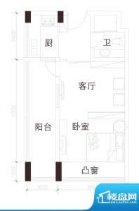 天成国际·金寓C户型面积:46.29平米