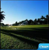 中信台达国际高尔夫场实景图（2012-2-3