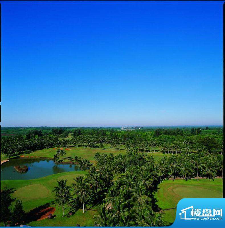 中信台达国际高尔夫场实景图（2012-2-3