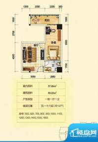 金泰龙步行街商厦5-面积:50.22平米