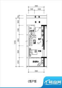 一品国际C户型 1室1面积:35.53平米