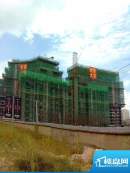 棕榈半岛国际公寓工程进度实景图（2010