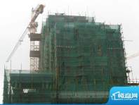 棕榈泉国际公馆工程进度（20101118）