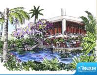 棕榈泉国际公馆草绘效果图