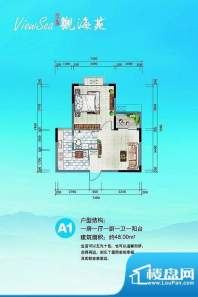 半岛观海苑户型A1 1面积:48.00平米