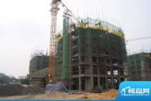 宝源花园2期1号楼工程进度（20101207）