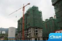 富甲逸品项目4号楼工程实景20120913