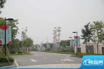 嘉汇城园林实景（2012.6.15）