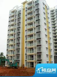 东海椰苑2期3号楼工程进度实景（201009
