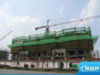 香溢天鹅湖项目2011.4.28日工程进度