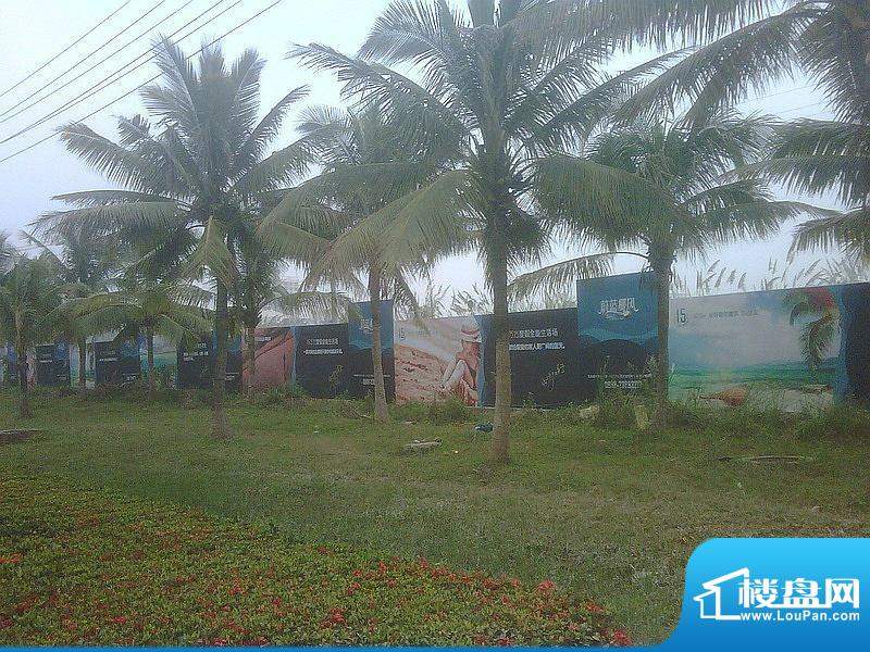 蔚蓝椰风工地外围实景图（20111224）