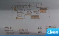 南华时代城户型E 3室面积:116.00平米