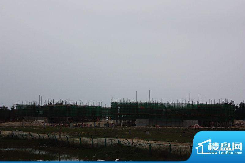 宏图高龙湾1号工程实景图（20120214）