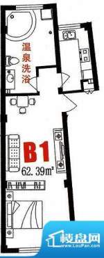 三缘温泉花园B1户型面积:62.39平米