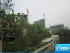 大宁瑞仕花园小区绿化（2011.7）