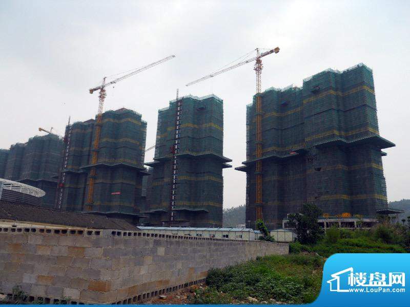 怡龙枫景园实体楼进展（2010-6-5）