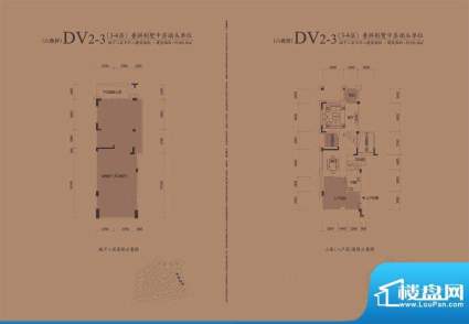 城建仁山智水花园DV-4