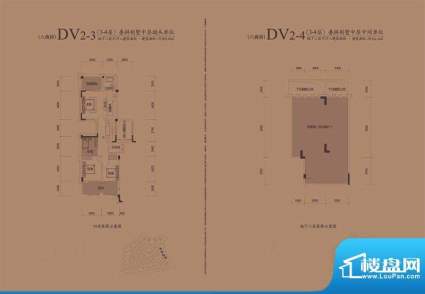 城建仁山智水花园DV-2户型