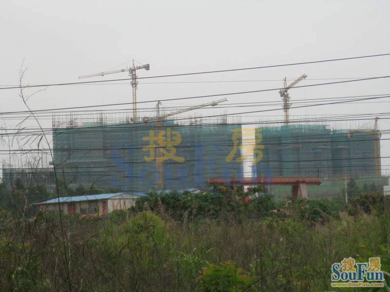 东湖映月外景图（2010-04-19）