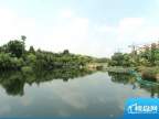 东湖映月园林湖景（2012-8-23）