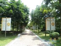 东湖映月园林小路（2012-8-23）