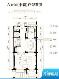 银亿领墅A-mid户型一面积:325.00平米