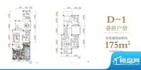 迪亚春天D-1户型图 面积:175.00平米