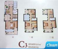 凤凰花苑C3户型图 3面积:255.00平米