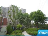 保利叶上海社区景观 （2010-05-20）