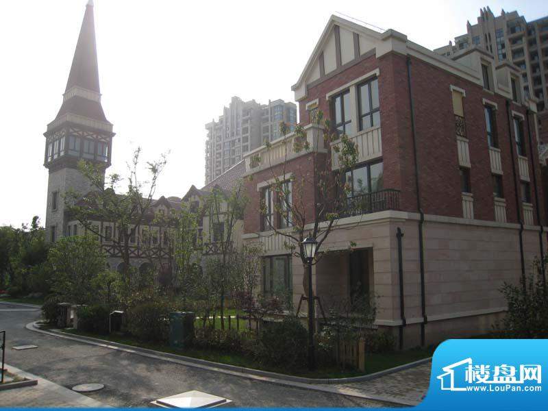 保利叶上海实景图 （2010-05-20）